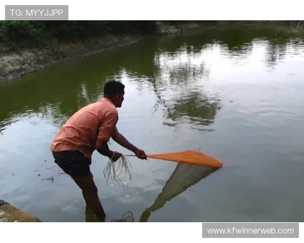 提升捕鱼技巧的实用技巧与策略分享帮助玩家在K8扑鱼登陆中轻松获胜